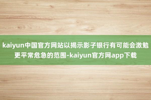 kaiyun中国官方网站以揭示影子银行有可能会激勉更平常危急的范围-kaiyun官方网app下载