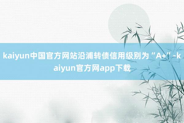 kaiyun中国官方网站沿浦转债信用级别为“A+”-kaiyun官方网app下载
