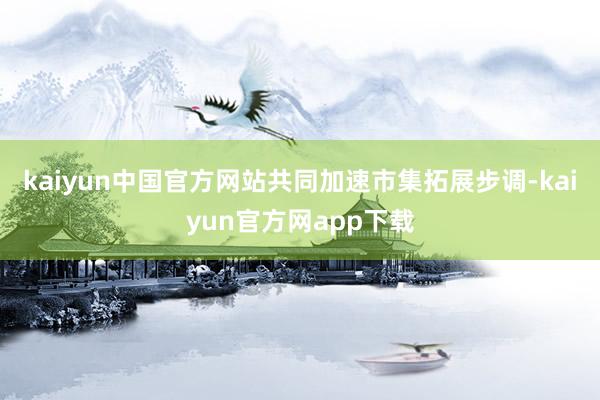 kaiyun中国官方网站共同加速市集拓展步调-kaiyun官方网app下载