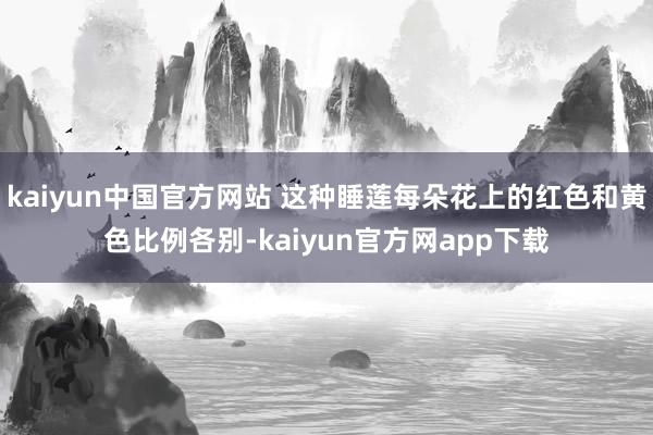 kaiyun中国官方网站 这种睡莲每朵花上的红色和黄色比例各别-kaiyun官方网app下载